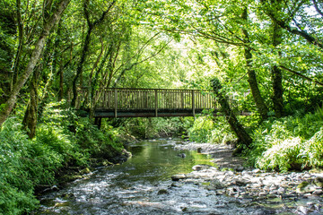 Wooden bridge over beautiful river in West Cork,  Top of the Rock Pod P&aacute;irc and Walking Centre near Drimoleague. 