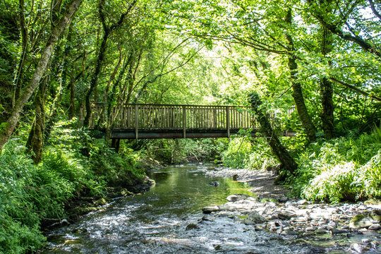 Wooden bridge over beautiful river in West Cork,  Top of the Rock Pod Páirc and Walking Centre near Drimoleague. 