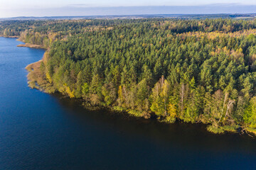Obraz premium Autumn lake landscape with pine trees, aerial bird-eye view
