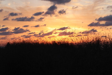 Fototapeta premium sunset 