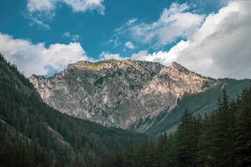 green clear lake with forest and beautiful sky in tirol Austria
