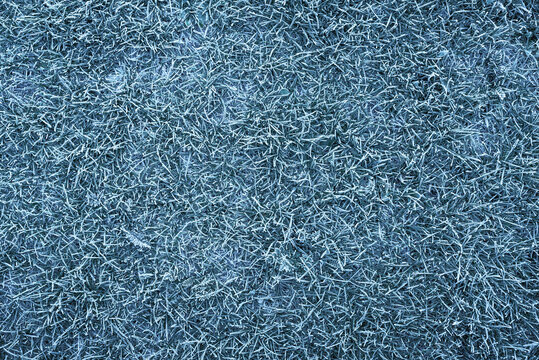 grass in winter