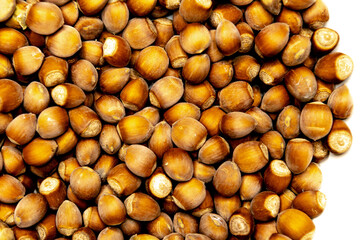 many beautiful hazelnuts together on a white background