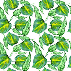 seamless pattern with leaves, tropical leaves, green leaves, exotic leaves