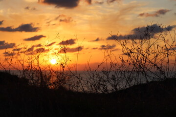 Fototapeta premium sunset 