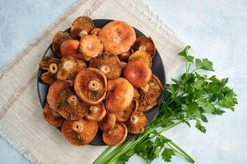 Plate of rovellons or niscalos, typical autumn mushrooms, top view