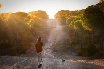 walk with dog in the field