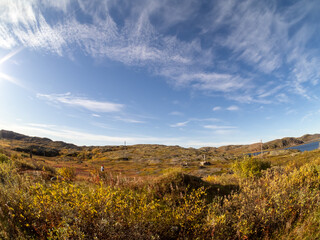 cold and beautiful tundra. Teriberka, Murmansk region, Russia. A lot of berries, a riot of colors. rocks and bright plants. moss . Landscape. Sunny weather, blue sky, wide-angle lens. lakes