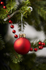 beautiful red ball and red beads decoration on new year green christmas tree         