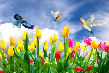 Fototapeta na wymiar Tulips sky birds field hummingbirds