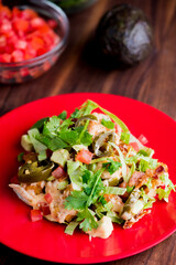 Nachos. Tex-Mex or Mexican restaurant classic traditional menu item. Homemade crispy tortilla chips topped w/ melted cheddar cheese, pico de gallo, black beans, jalapenos, spicy guacamole sour cream