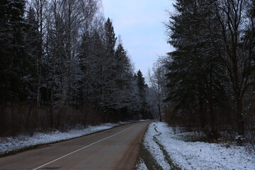 Obraz premium Country road in a snowy forest