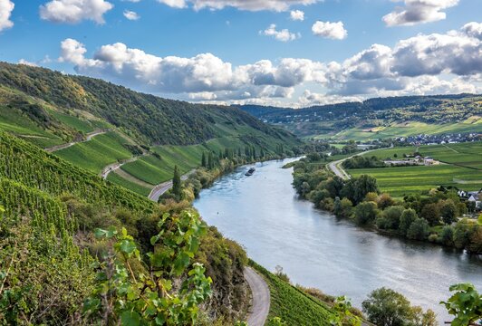 Mosel bei Leiwen