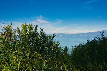 Toskana Landschaft mit Busch und Meer