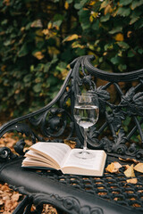 book and glasses on autumn leaves