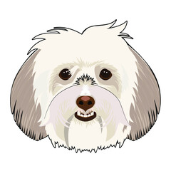 Dog's head isolated on the white background, looking right symmetry vector illustration. Vector icon