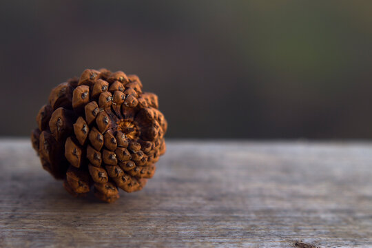 fresh textured pine cone on the wooden background close up, christmas background