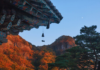 Fish Wind Chime at Korean Buddhist Temple 