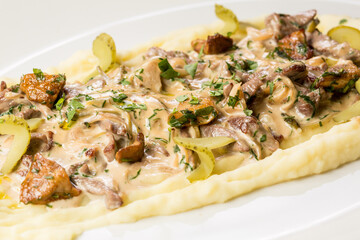 beef stroganoff with beef tenderloin and mashed potatoes