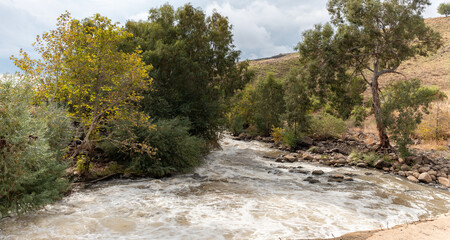 The Jordan River  in the Golan Heights in northern Israel