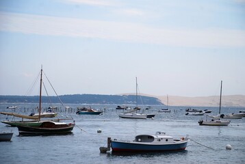 Paysage du Cap-Ferret - Gironde FRANCE