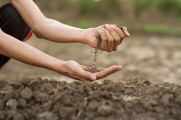 Expert hand of farmer checking soil quality or huminity to prepare grow vegetable in garden or farm.