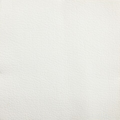 Obraz premium Premium white calfskin texture background for decor