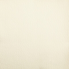 Premium ivory leather texture background for decor