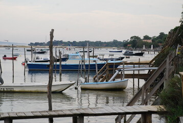Paysage du Cap-Ferret - Gironde FRANCE