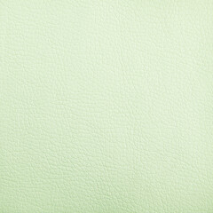 Premium light green leather texture background for decor