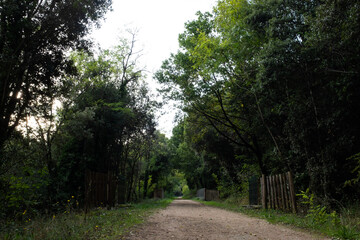 Saint-Pons-de-Thomières - Voie verte Passa Païs
