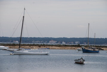 Paysage du Cap-Ferret - Gironde FRANCE