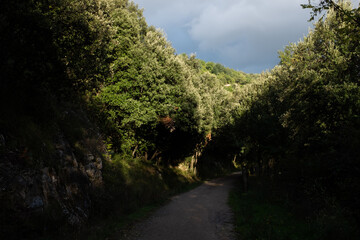 Saint-Pons-de-Thomières - Voie verte Passa Païs