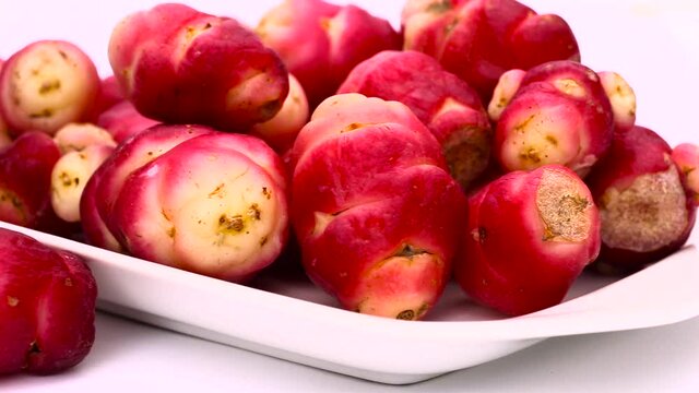 New Zealand yam (Oxalis tuberosa), also called uqa or oca. This exotic, bright red root is a food used in the Andes