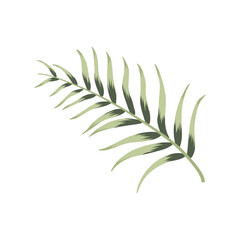 Vintage tropical leaf for wallpaper design. Exotic  wedding floral decoration.  Holiday decoration. Fashion print. Vintage background poster.