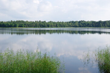 Nature of Seliger. The lake Glubokoye (Deep) in the Tver region, Russia