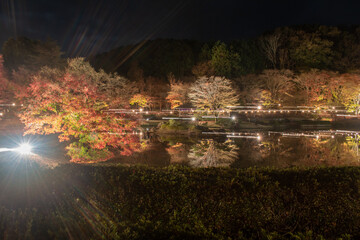 秋の日本庭園風景【夜景・ライトアップ】