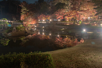 秋の日本庭園風景【夜景・ライトアップ】