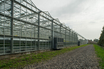 Fototapeta na wymiar Greenhouses working on bio gas produced from household waste. Recycling. Caring for environment.