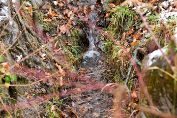 Forest waterfall in Europe. Small rapid stream in the mountains with a beautiful view.