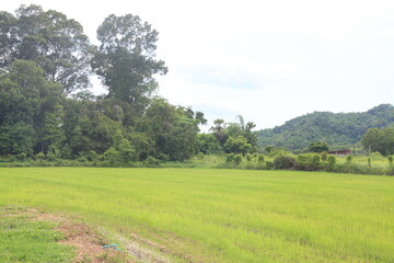 Fields in Nakhon Nayok Province