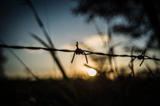 
Barbed wire fence with blurred background from evening light.