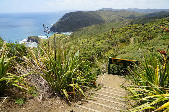 Cape Reinga