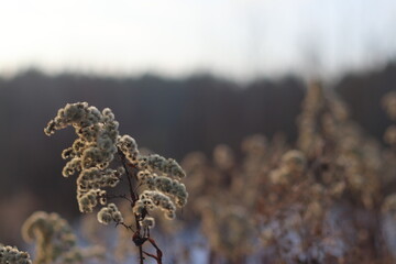 A close up of a sign