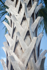 Side of Palm Tree