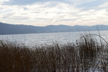 Novemberstimmung am Laacher See