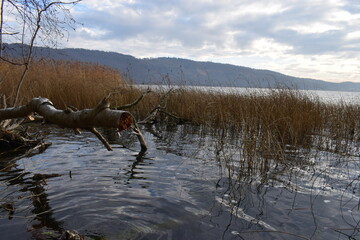 Novemberstimmung am Laacher See