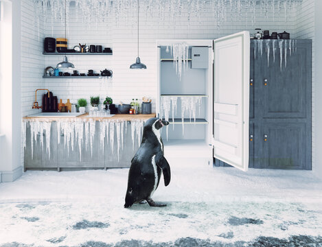 Open door fridge  and  penguin in frosen kitchen