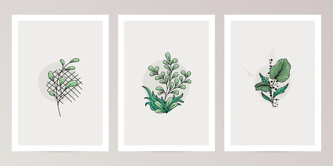 Set of Vintage Botanical Lineart Design Template for Wall Decoration, poster, brochure, giftcard, invitation card 
