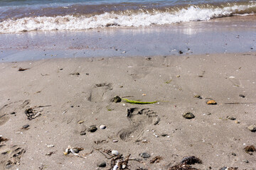 The background of sand with water splash into summer with space for text.